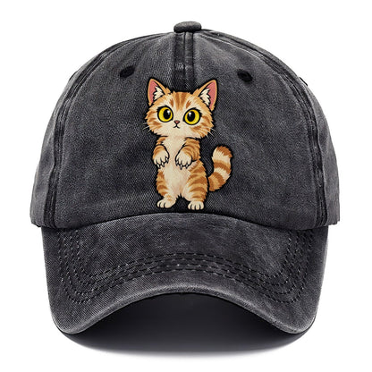 Munchkin Standing Up Peeking Cats Classic Cap – Graphite