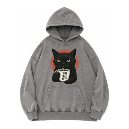 Is He Dead Yet Cat Vintage Washed Hoodie – Grey