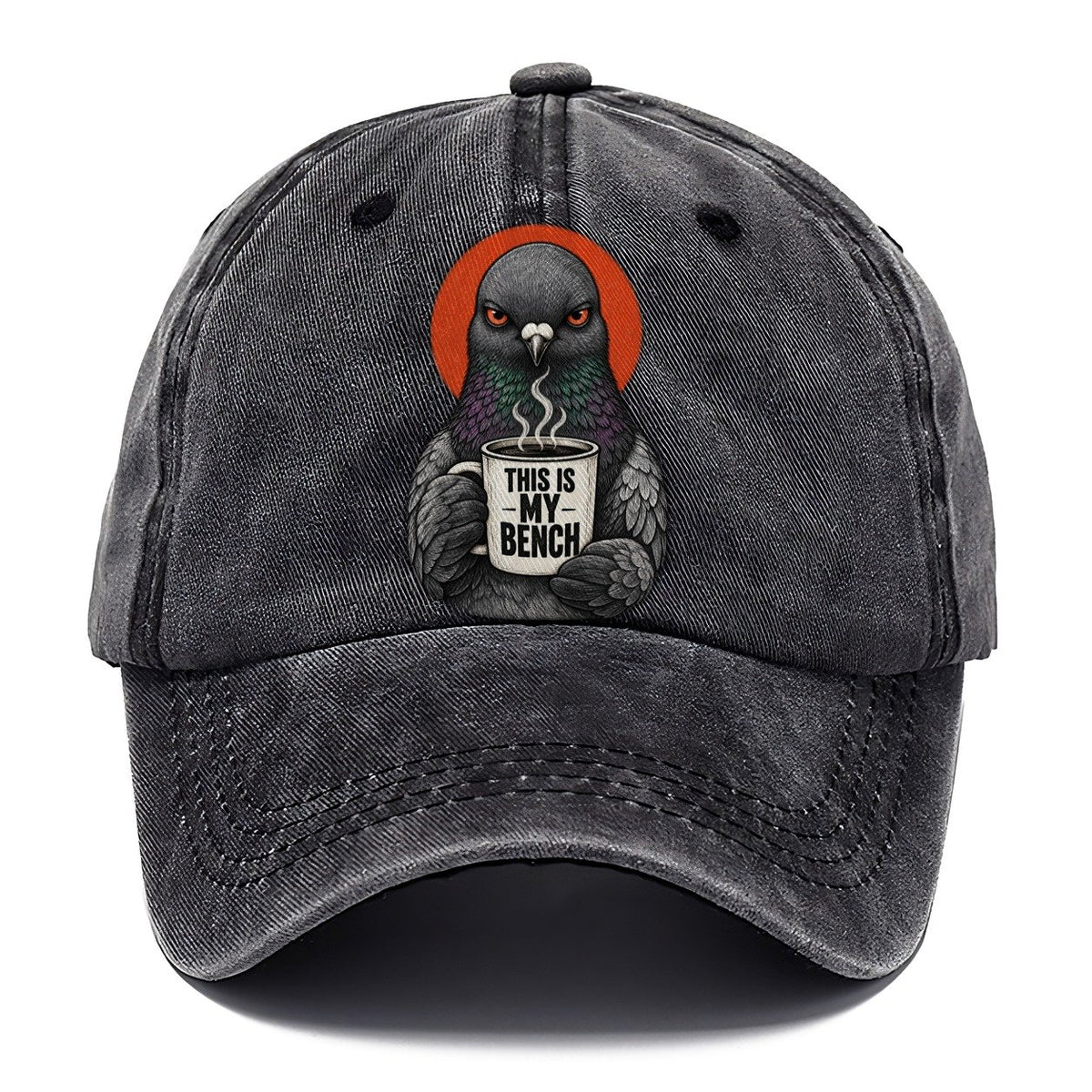 Pigeon Mug Truths Classic Cap – Graphite
