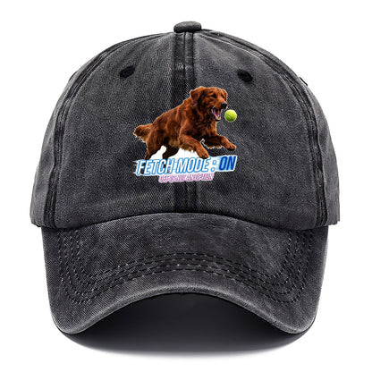 Fetch Mode Classic Cap – Graphite