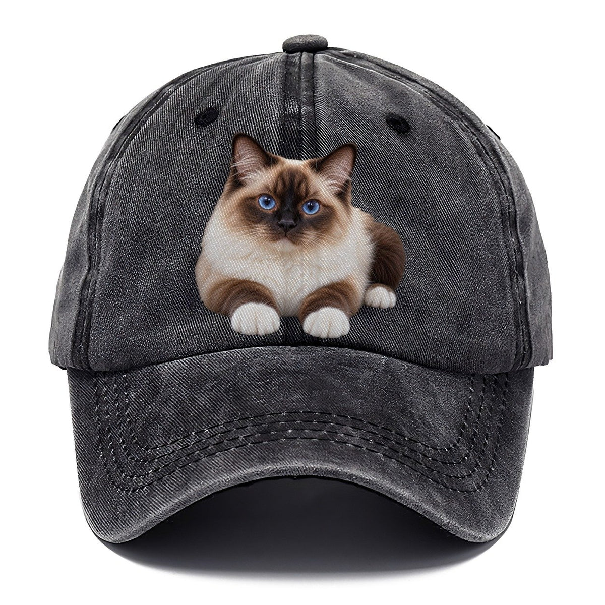 Birman Reclining Paws Forward Realistic Cat Portrait Classic Cap – Graphite