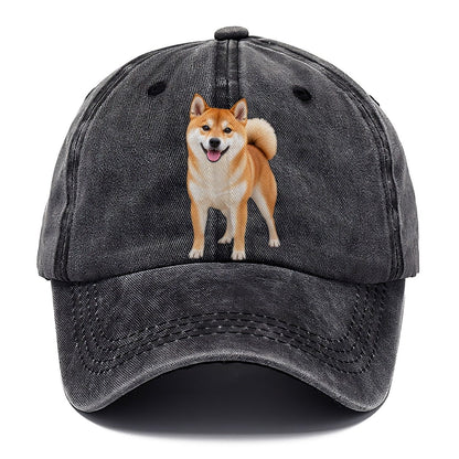 Shiba Inu Standing Top Breeds Classic Cap – Graphite