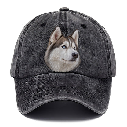 Husky Frosted Whiskers Character Club Classic Cap – Graphite
