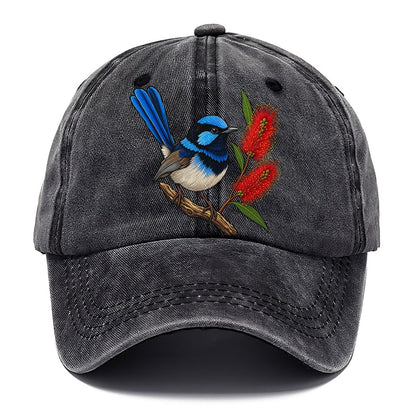 Superb Fairywren And Bottlebrush Australia Cultural Icons Classic Cap – Graphite