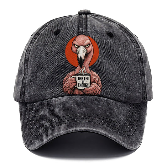 Flamingo Mug Truths Classic Cap – Graphite
