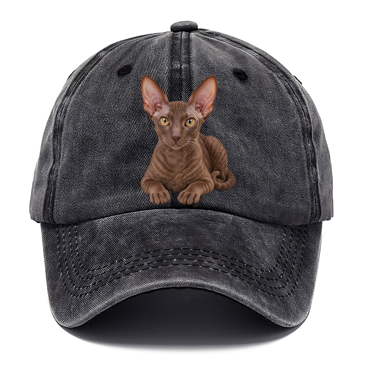 Cornish Rex Reclining Paws Forward Realistic Cat Portrait Classic Cap – Graphite