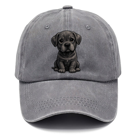Cane Corso Sitting Sweetheart Classic Cap – Urban Haze