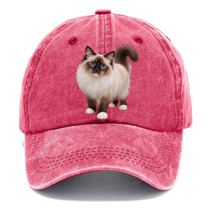 Birman Standing Three Quarter Realistic Cat Portrait Classic Cap – Pomegranate Blush