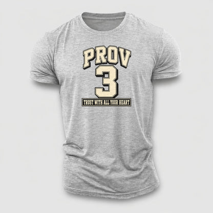 Proverbs 3 Varsity Chapel Varsity Cotton T-Shirt – Sport Grey