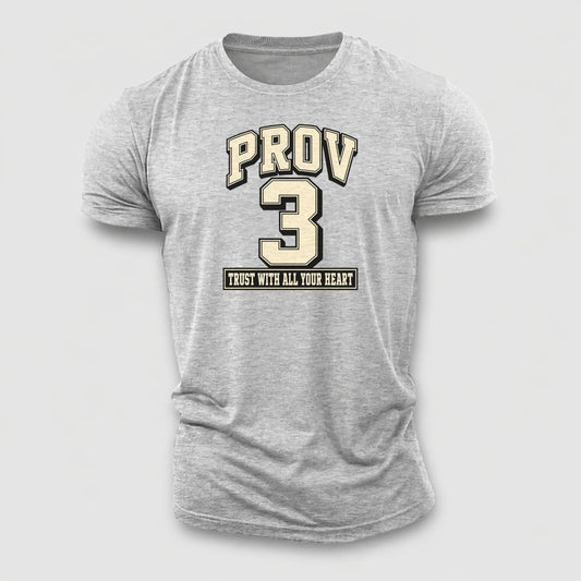 Proverbs 3 Varsity Chapel Varsity Cotton T-Shirt – Sport Grey