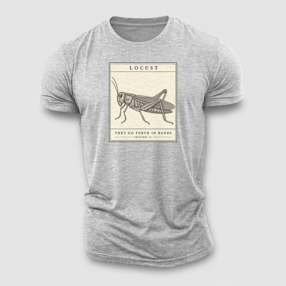 Locust Specimen Plate Creature Canticle Cotton T-Shirt – Sport Grey