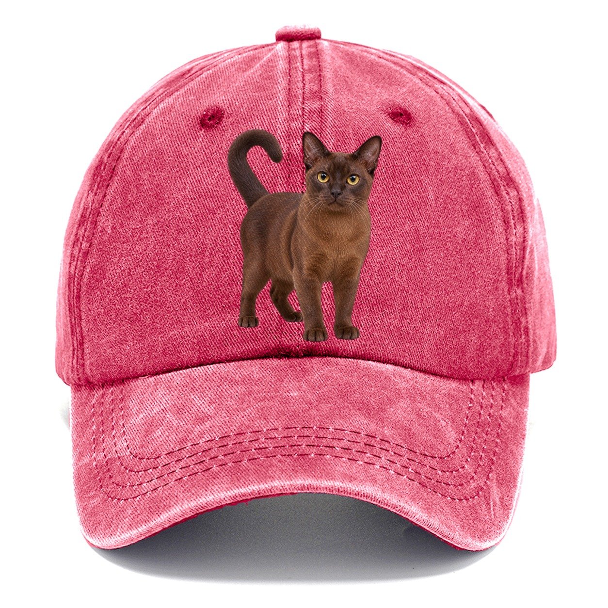 Burmese Standing Three Quarter Realistic Cat Portrait Classic Cap – Pomegranate Blush