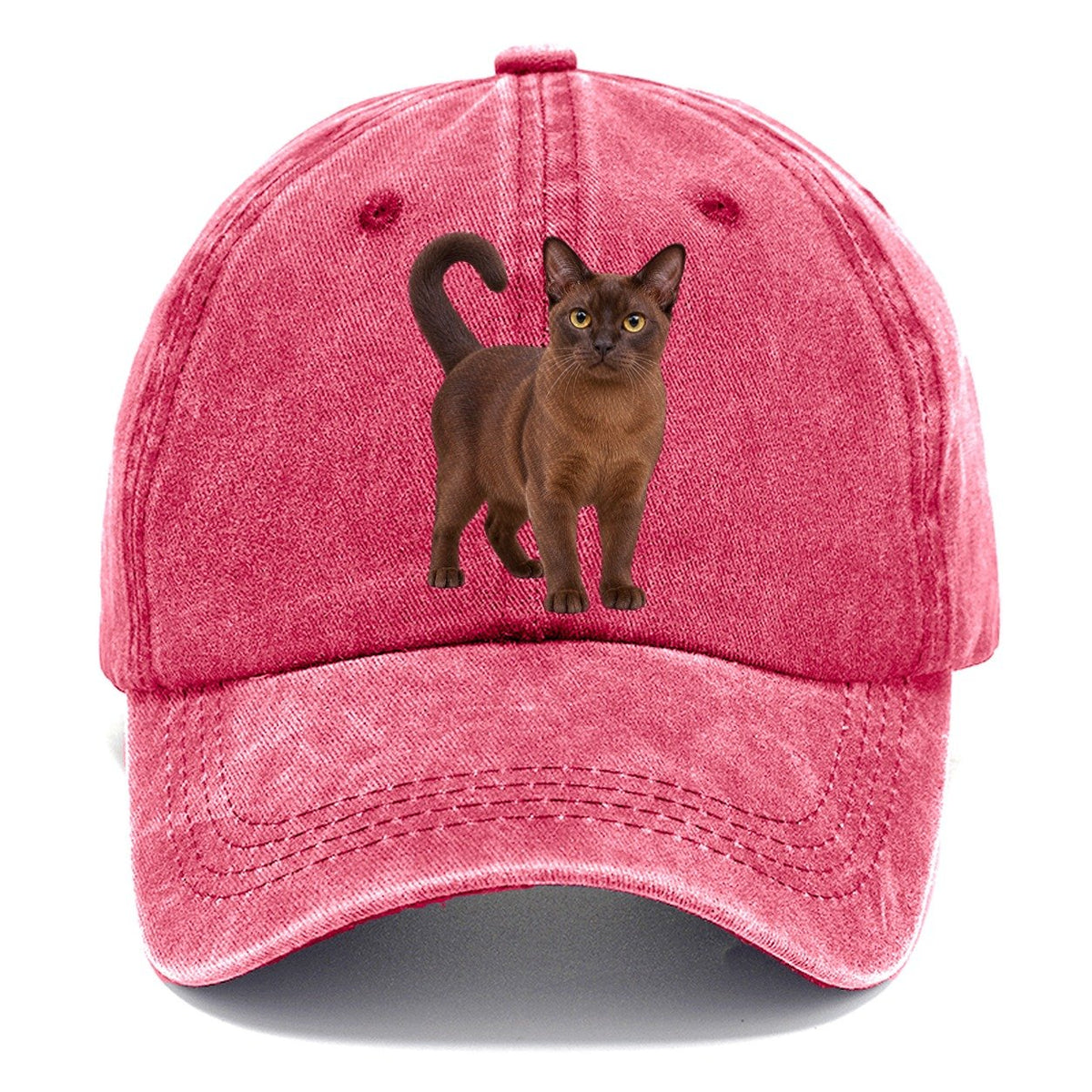 Burmese Standing Three Quarter Realistic Cat Portrait Classic Cap – Pomegranate Blush