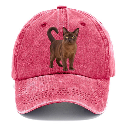 Burmese Standing Three Quarter Realistic Cat Portrait Classic Cap – Pomegranate Blush