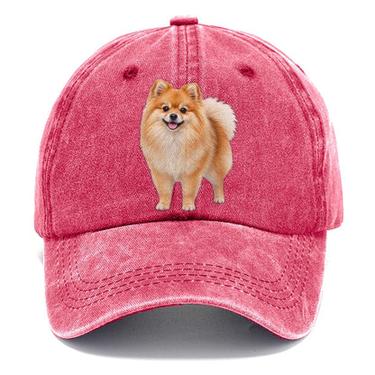 Pomeranian Standing Top Breeds Classic Cap – Pomegranate Blush