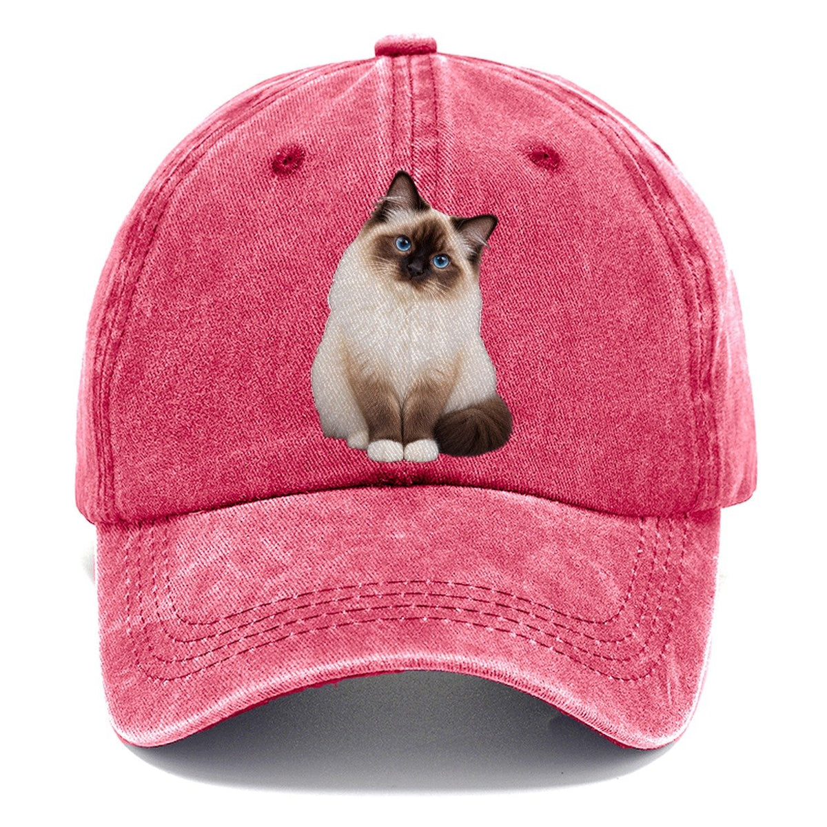 Birman Seated Portrait Realistic Cat Portrait Classic Cap – Pomegranate Blush