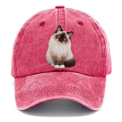 Birman Seated Portrait Realistic Cat Portrait Classic Cap – Pomegranate Blush