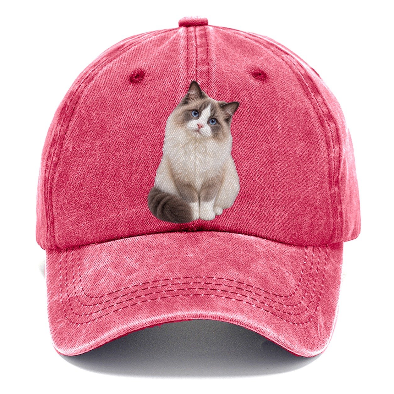 Ragdoll Seated Portrait Realistic Cat Portrait Classic Cap – Pomegranate Blush