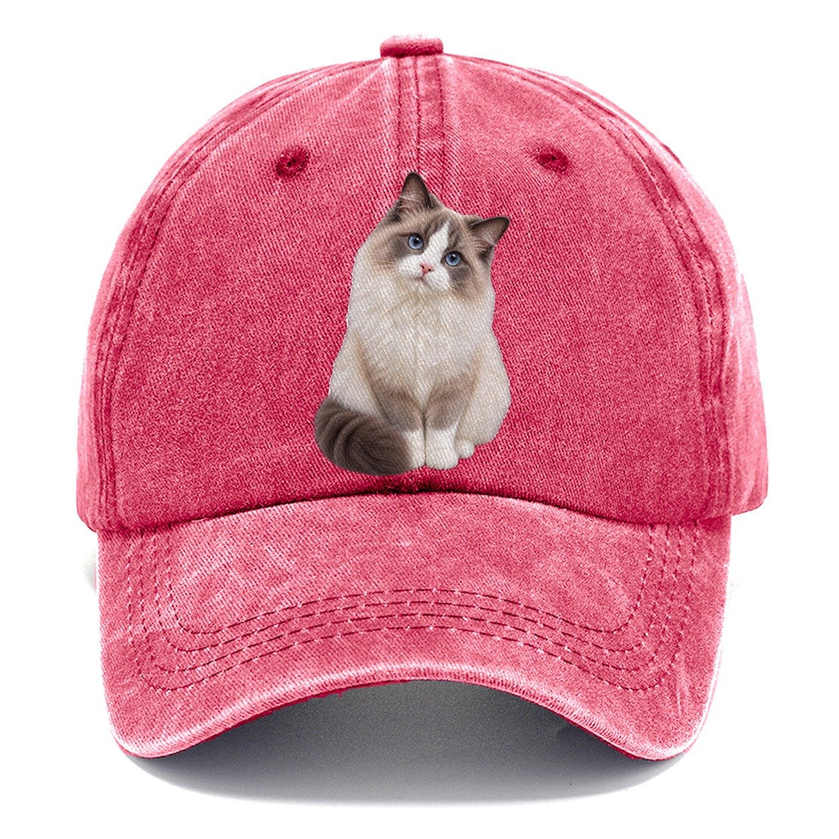 Ragdoll Seated Portrait Realistic Cat Portrait Classic Cap – Pomegranate Blush