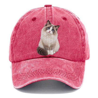 Ragdoll Seated Portrait Realistic Cat Portrait Classic Cap – Pomegranate Blush