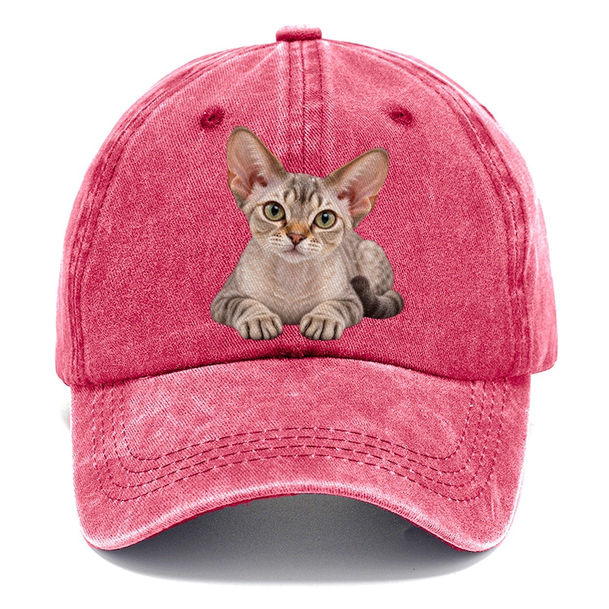 Devon Rex Reclining Paws Forward Realistic Cat Portrait Classic Cap – Pomegranate Blush