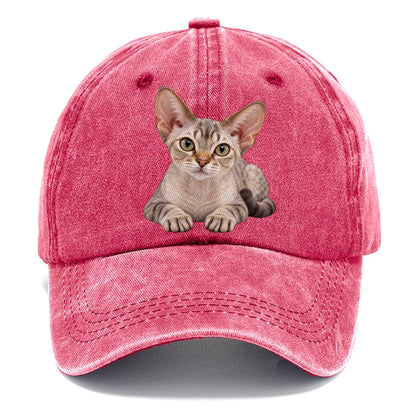 Devon Rex Reclining Paws Forward Realistic Cat Portrait Classic Cap – Pomegranate Blush