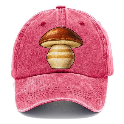 Bolete Hero Study Foraging And Mycology Classic Cap – Pomegranate Blush