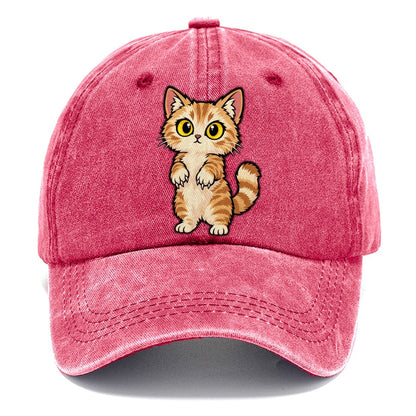 Munchkin Standing Up Peeking Cats Classic Cap – Pomegranate Blush