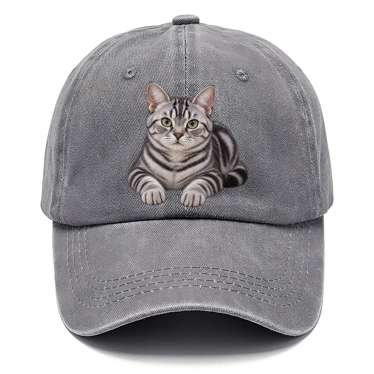 American Shorthair Reclining Paws Forward Realistic Cat Portrait Classic Cap – Urban Haze