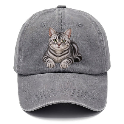 American Shorthair Reclining Paws Forward Realistic Cat Portrait Classic Cap – Urban Haze