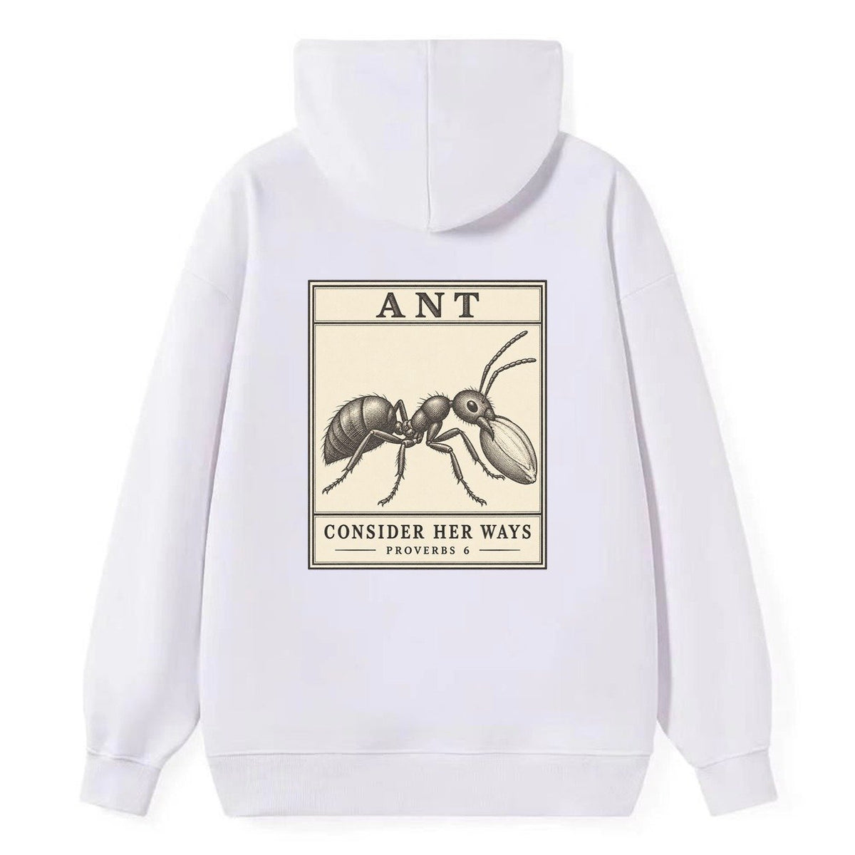 Ant Specimen Plate Creature Canticle Classic Pullover Hoodie – White