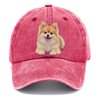 Pomeranian Lying Down Top Breeds Classic Cap – Pomegranate Blush