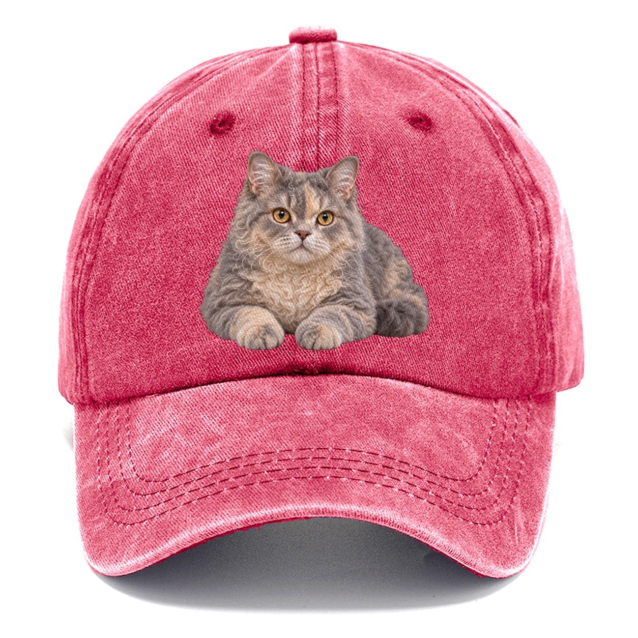 Selkirk Rex Reclining Paws Forward Realistic Cat Portrait Classic Cap – Pomegranate Blush