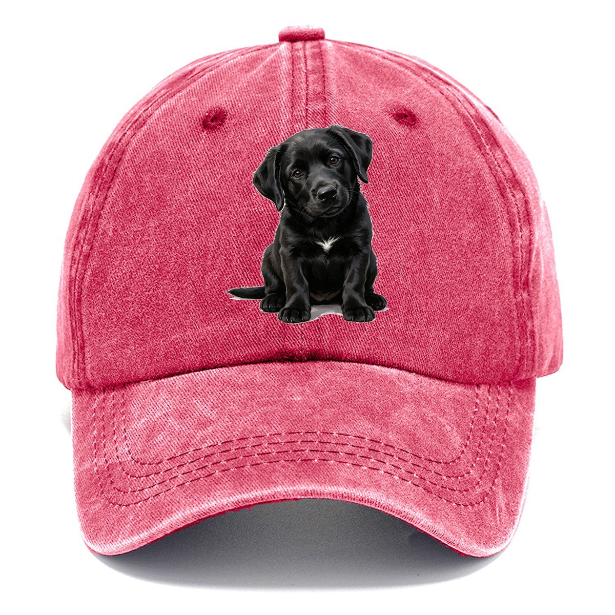 Black Puppy Classic Cap – Pomegranate Blush