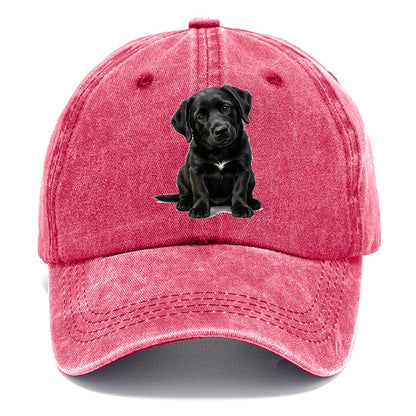 Black Puppy Classic Cap – Pomegranate Blush