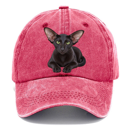 Oriental Shorthair Reclining Paws Forward Realistic Cat Portrait Classic Cap – Pomegranate Blush