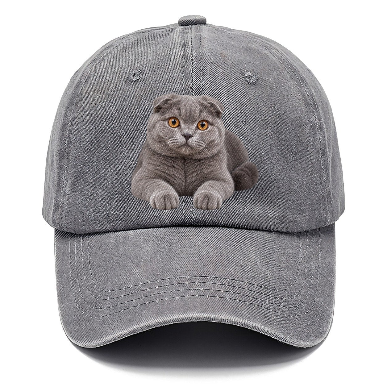 Scottish Fold Reclining Paws Forward Realistic Cat Portrait Classic Cap – Urban Haze