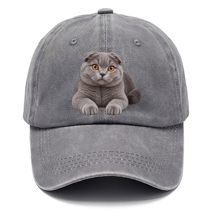 Scottish Fold Reclining Paws Forward Realistic Cat Portrait Classic Cap – Urban Haze