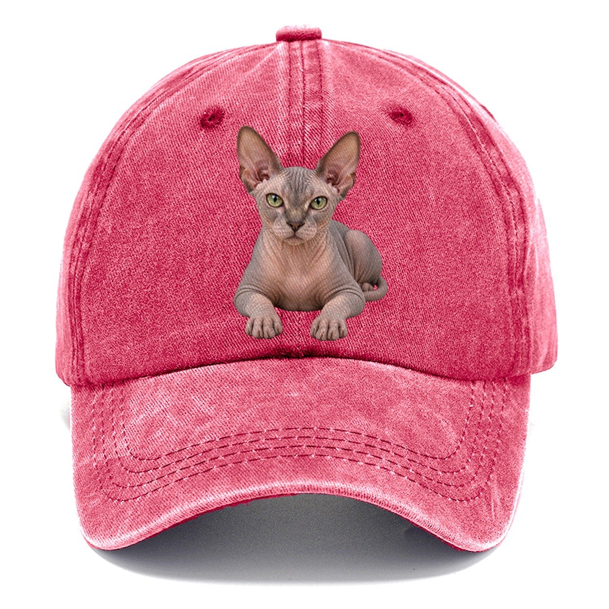 Sphynx Reclining Paws Forward Realistic Cat Portrait Classic Cap – Pomegranate Blush