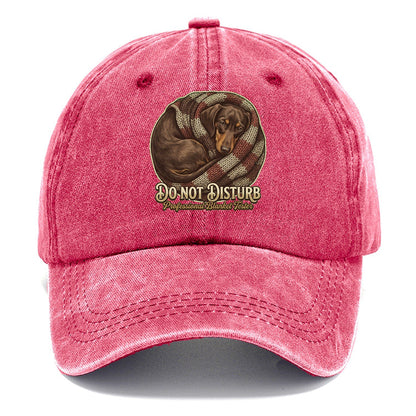 Do Not Disturb Classic Cap – Pomegranate Blush