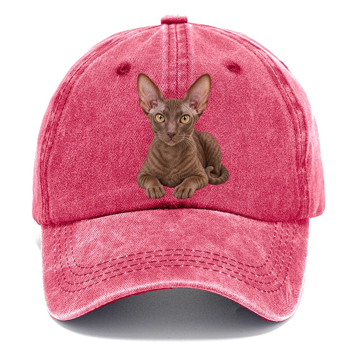 Cornish Rex Reclining Paws Forward Realistic Cat Portrait Classic Cap – Pomegranate Blush
