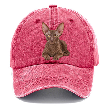 Cornish Rex Reclining Paws Forward Realistic Cat Portrait Classic Cap – Pomegranate Blush