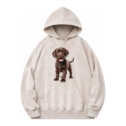 Chocolate Labrador Vintage Washed Hoodie – Off White