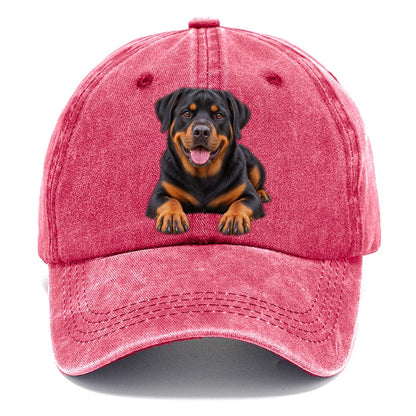 Rottweiler Lying Down Top Breeds Classic Cap – Pomegranate Blush