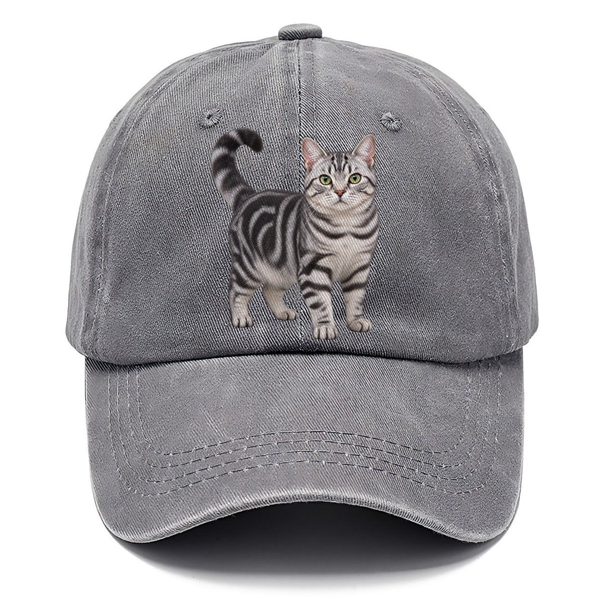 American Shorthair Standing Three Quarter Realistic Cat Portrait Classic Cap – Urban Haze