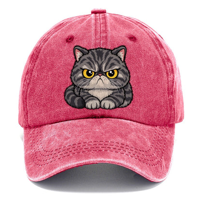 Exotic Shorthair Grumpy Sit Peeking Cats Classic Cap – Pomegranate Blush