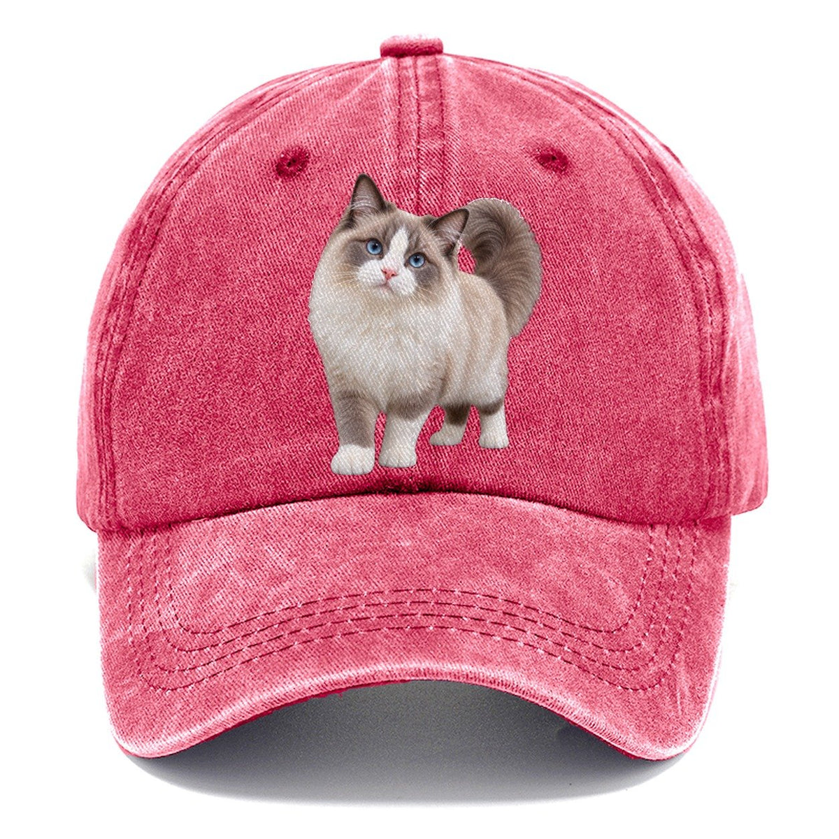 Ragdoll Standing Three Quarter Realistic Cat Portrait Classic Cap – Pomegranate Blush