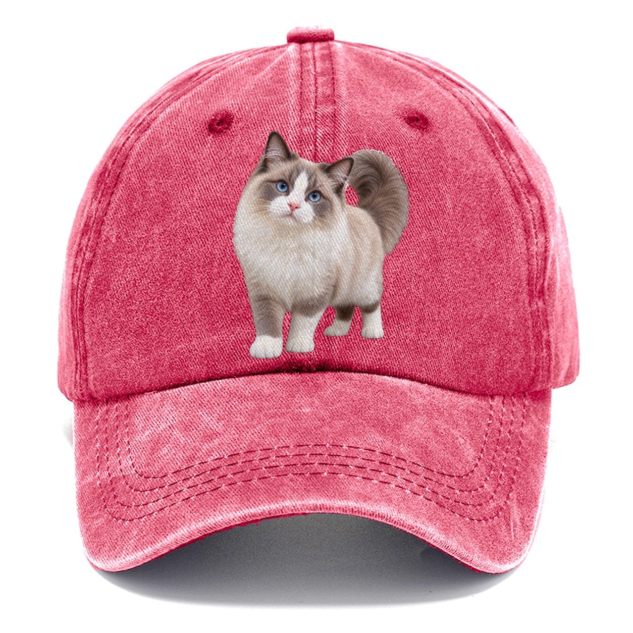 Ragdoll Standing Three Quarter Realistic Cat Portrait Classic Cap – Pomegranate Blush