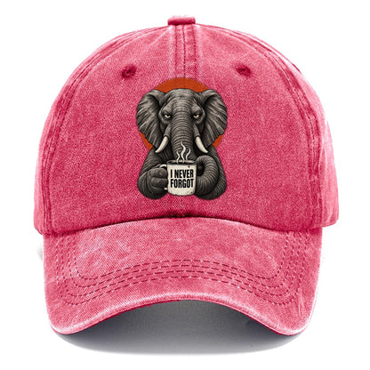 Elephant Mug Truths Classic Cap – Pomegranate Blush