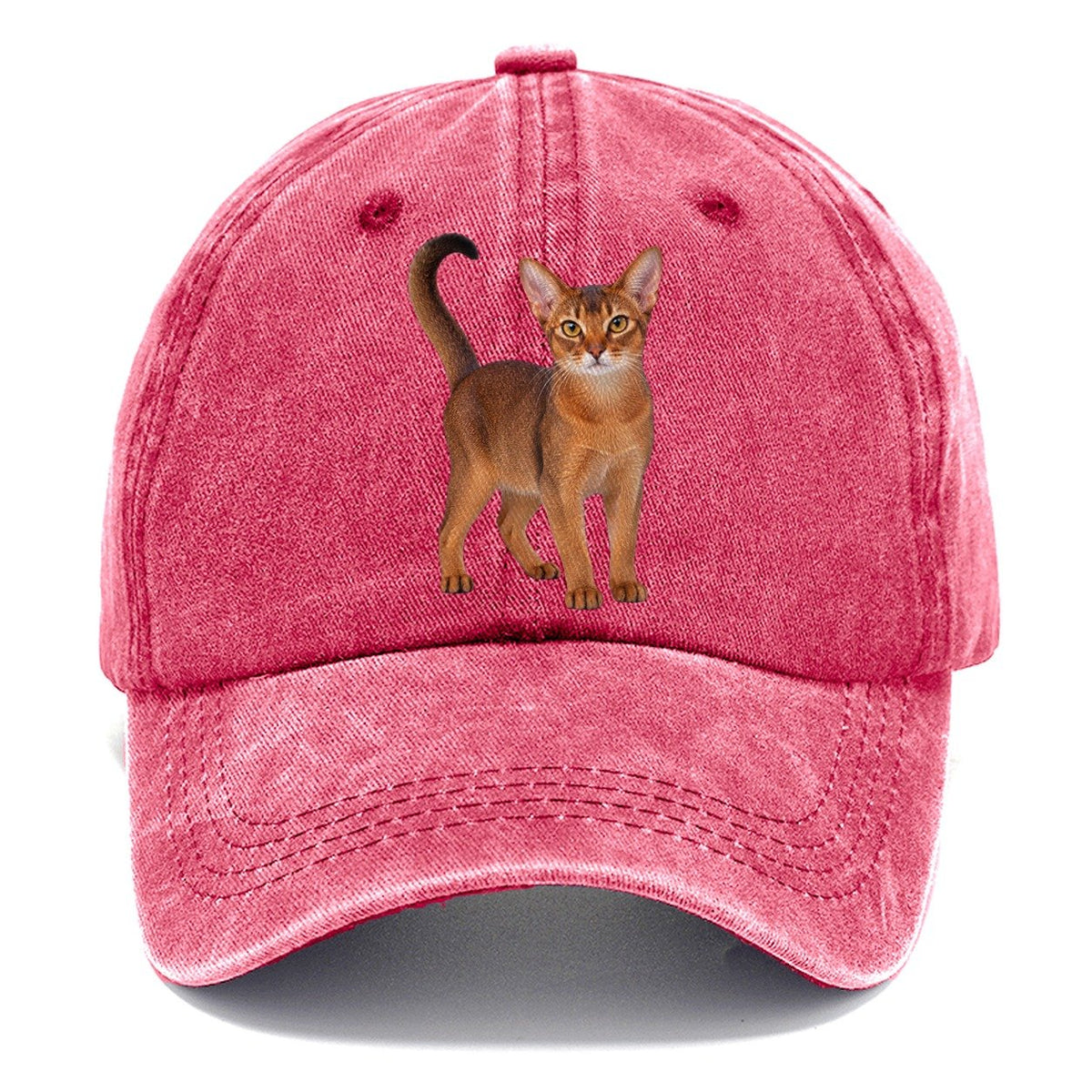 Abyssinian Standing Three Quarter Realistic Cat Portrait Classic Cap – Pomegranate Blush
